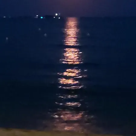 Sublime Vue Mer,parking,wifi Daire Fréjus