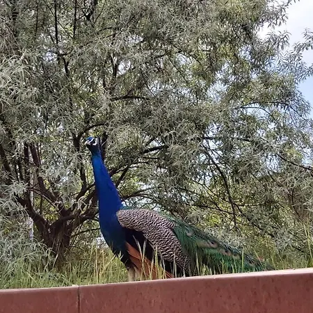 Apartamento Sublime Vue Mer,parking,wifi