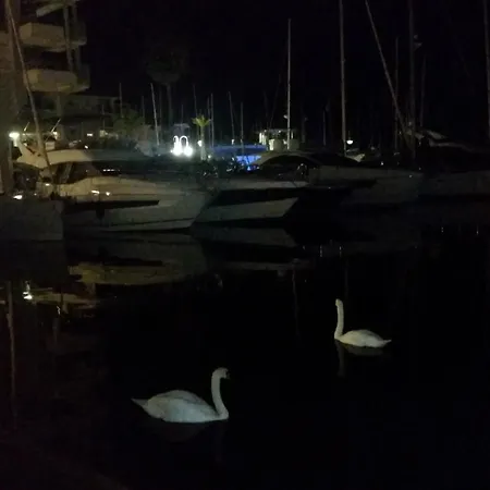 Apartamento Sublime Vue Mer,parking,wifi