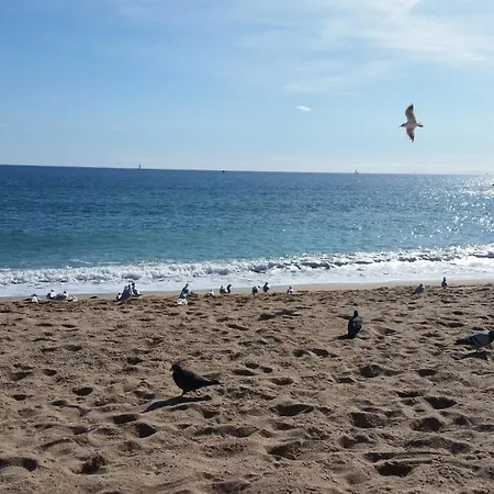 Sublime Vue Mer,parking,wifi Apartamento