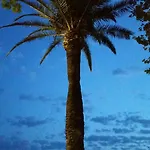 Lägenhet Splendide Vue Port Clim Garage Wifi Fréjus