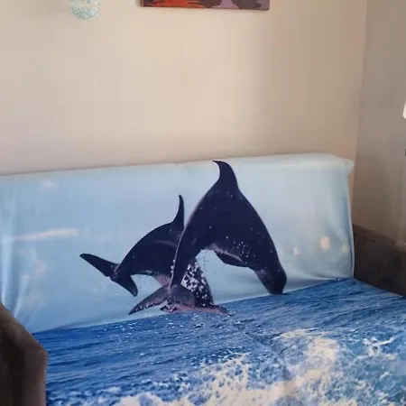 Sublime Vue Mer,parking,wifi Appartement