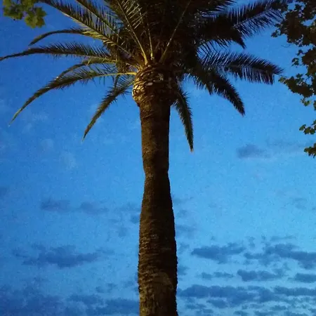 Apartment Sublime Vue Mer,parking,wifi Frejus