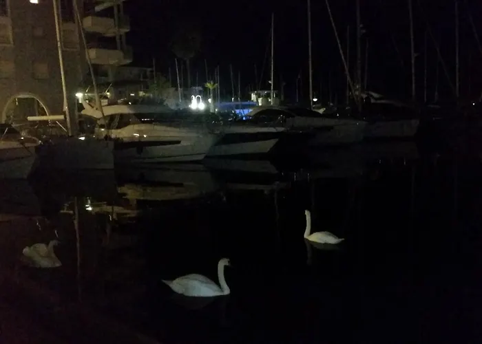 Lejlighed Splendide Vue Port Clim Garage Wifi