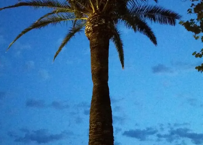 Lejlighed Splendide Vue Port Clim Garage Wifi Fréjus